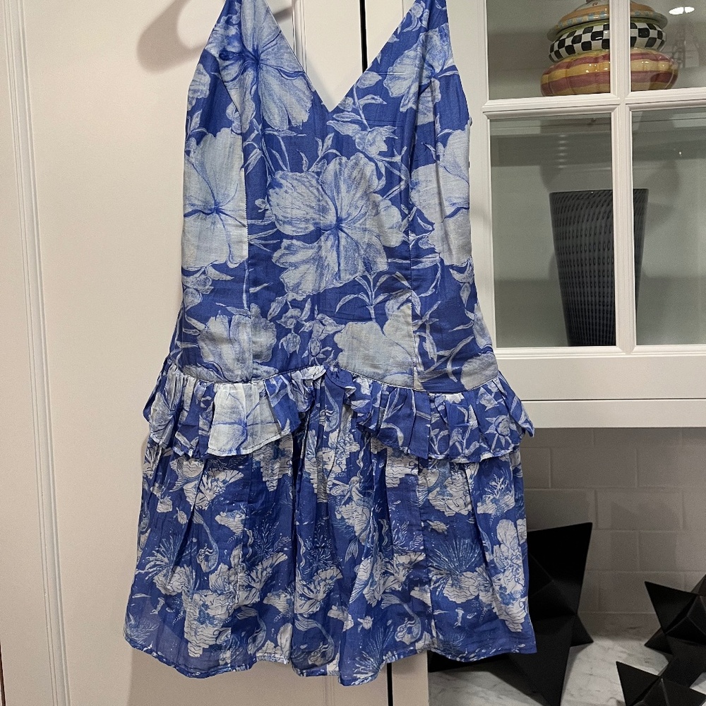 love shack fancy -blue floral printed dress size 4